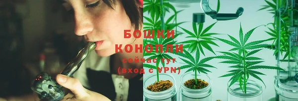 ГАЛЛЮЦИНОГЕННЫЕ ГРИБЫ Иннополис