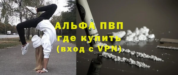 ГАЛЛЮЦИНОГЕННЫЕ ГРИБЫ Иннополис