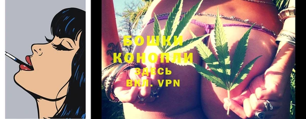 ГАЛЛЮЦИНОГЕННЫЕ ГРИБЫ Иннополис