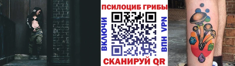 Купить закладки  Карталы  Псилоцибиновые грибы мухоморы 